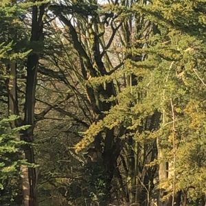 Meet your Posher, Caitlin